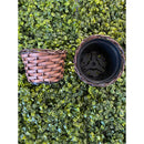 Arranjo Hera Artificial com Vaso Trançado