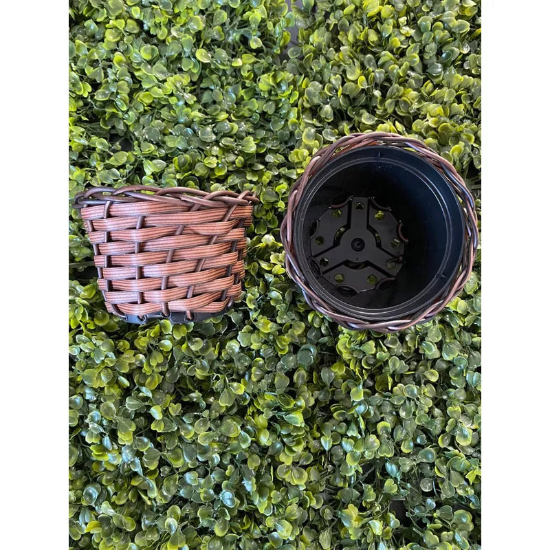 Arranjo Hera Artificial com Vaso Trançado