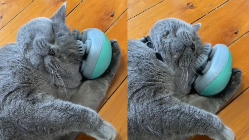 Massageador Elétrico Para Gatos